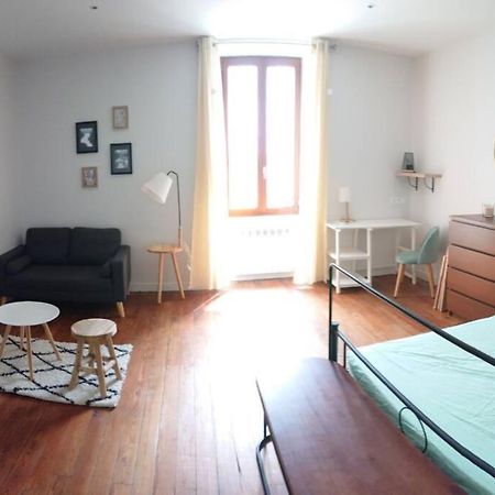 Апартаменты Le Beausejour - Cosy T2 - Business Ou We - Gare Бельгард-сюр-Валзерин Экстерьер фото
